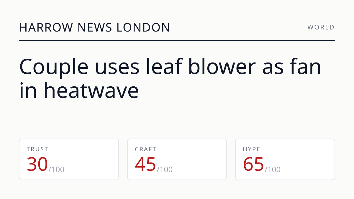 Couple uses leaf blower as fan in heatwave