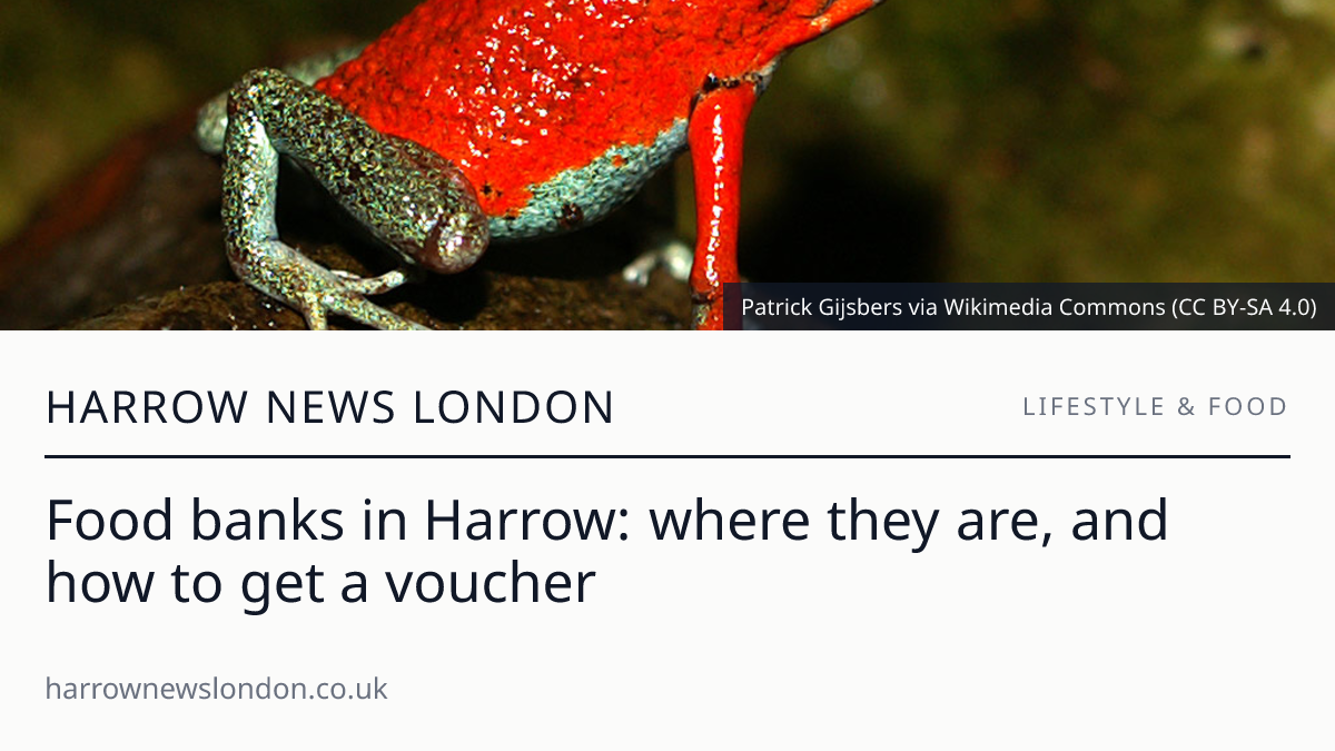 Food banks in Harrow: where they are, and how to get a voucher
